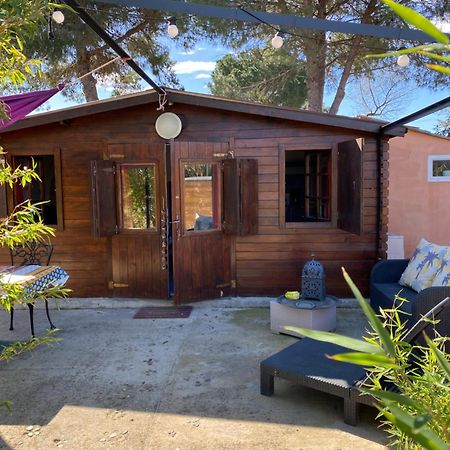 Chalet Des Oliviers 20Mn Des Plages Climatise 贝济耶 外观 照片