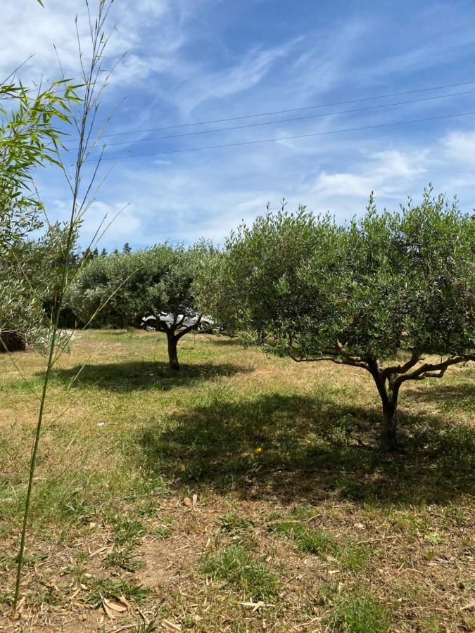 Chalet Des Oliviers 20Mn Des Plages Climatise 贝济耶 外观 照片