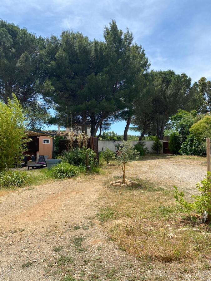 Chalet Des Oliviers 20Mn Des Plages Climatise 贝济耶 外观 照片